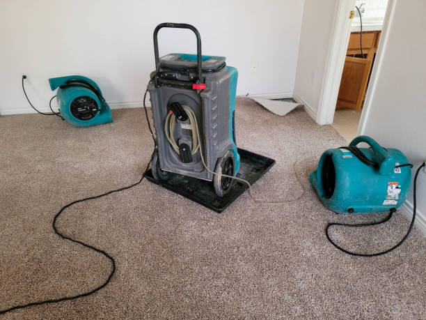 Best Flood damage cleanup  in Tillmans Corner, AL