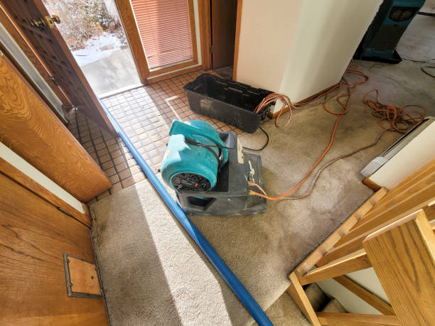 Best Fire Damage Restoration  in Tillmans Corner, AL