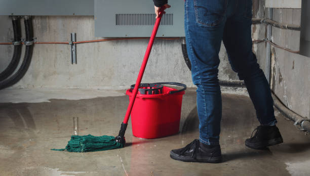 Best Water damage contractors near me  in Tillmans Corner, AL