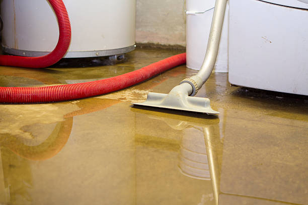 Best Water damage restoration process  in Tillmans Corner, AL