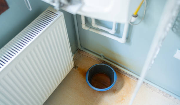 Best Basement water damage restoration  in Tillmans Corner, AL