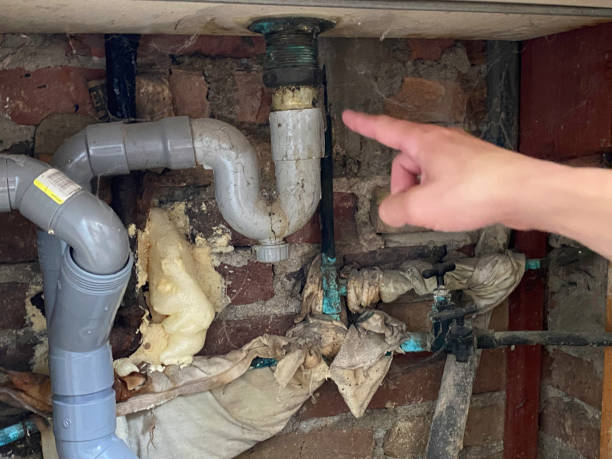 Best Local water damage restoration  in Tillmans Corner, AL