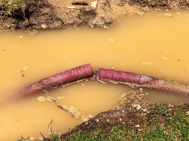 Best Residential water damage restoration  in Tillmans Corner, AL