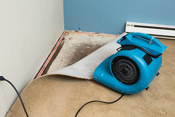 Best Flood restoration services  in Tillmans Corner, AL